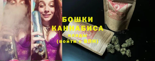 соль ск Богданович