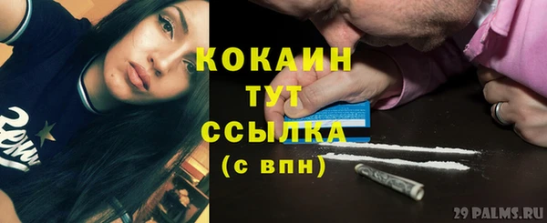 соль ск Богданович