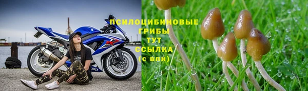 трава Богородск