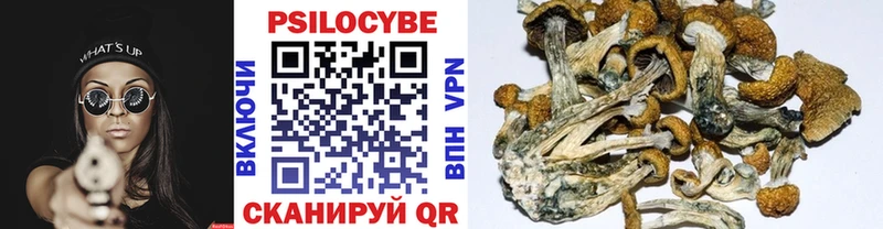 Галлюциногенные грибы Psilocybine cubensis  Волжский 